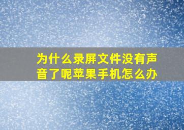 为什么录屏文件没有声音了呢苹果手机怎么办