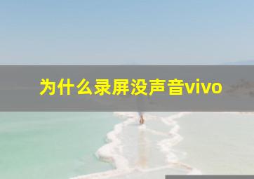 为什么录屏没声音vivo