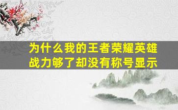 为什么我的王者荣耀英雄战力够了却没有称号显示