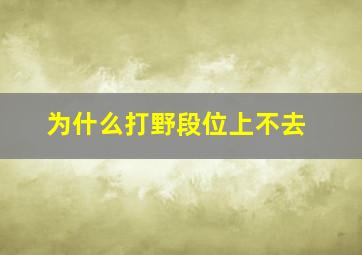 为什么打野段位上不去