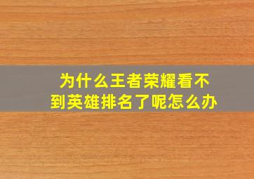 为什么王者荣耀看不到英雄排名了呢怎么办