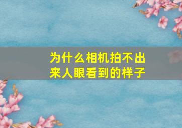 为什么相机拍不出来人眼看到的样子