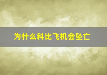 为什么科比飞机会坠亡