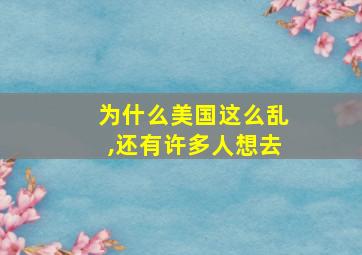 为什么美国这么乱,还有许多人想去