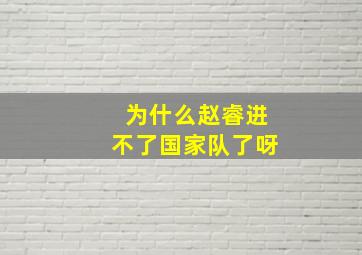 为什么赵睿进不了国家队了呀