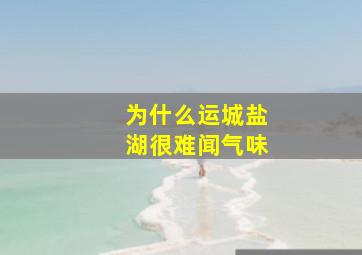 为什么运城盐湖很难闻气味