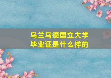 乌兰乌德国立大学毕业证是什么样的