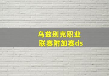 乌兹别克职业联赛附加赛ds