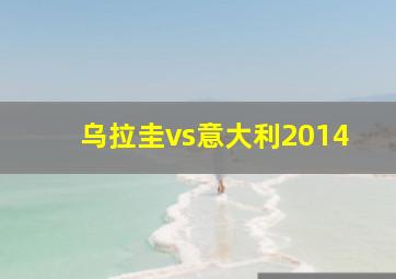 乌拉圭vs意大利2014