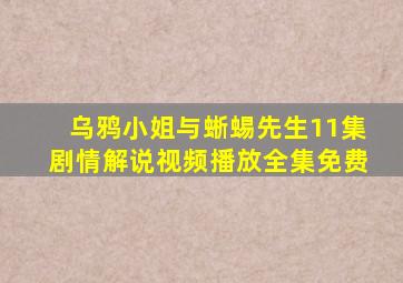 乌鸦小姐与蜥蜴先生11集剧情解说视频播放全集免费