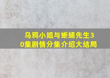 乌鸦小姐与蜥蜴先生30集剧情分集介绍大结局