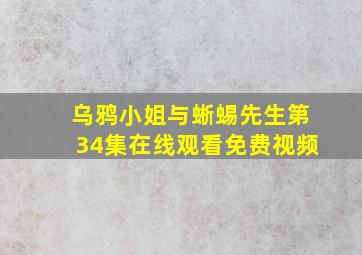 乌鸦小姐与蜥蜴先生第34集在线观看免费视频