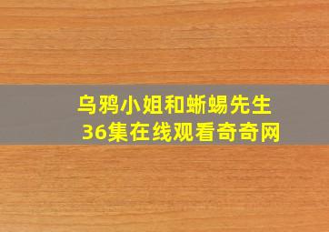 乌鸦小姐和蜥蜴先生36集在线观看奇奇网