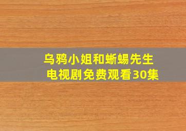 乌鸦小姐和蜥蜴先生电视剧免费观看30集