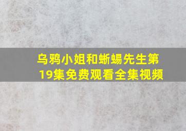 乌鸦小姐和蜥蜴先生第19集免费观看全集视频