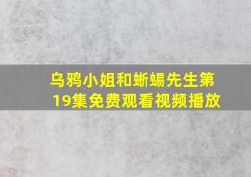 乌鸦小姐和蜥蜴先生第19集免费观看视频播放