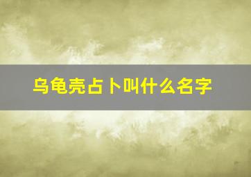 乌龟壳占卜叫什么名字