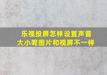 乐视投屏怎样设置声音大小呢图片和视屏不一样