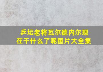 乒坛老将瓦尔德内尔现在干什么了呢图片大全集