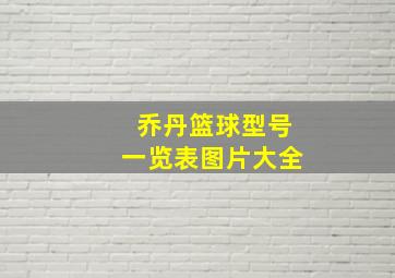 乔丹篮球型号一览表图片大全