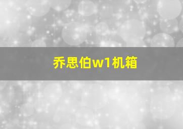 乔思伯w1机箱