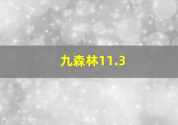 九森林11.3