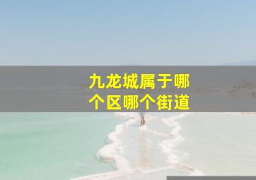 九龙城属于哪个区哪个街道