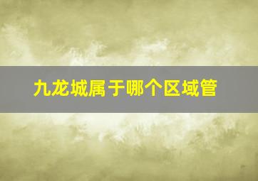 九龙城属于哪个区域管