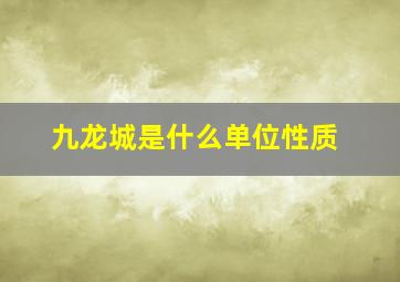 九龙城是什么单位性质