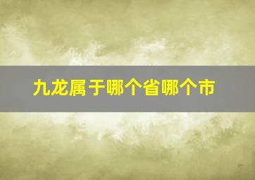 九龙属于哪个省哪个市