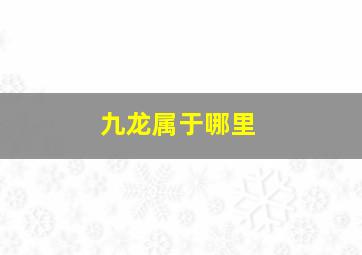 九龙属于哪里