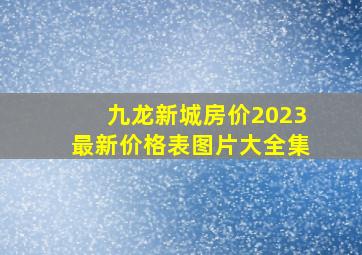 九龙新城房价2023最新价格表图片大全集