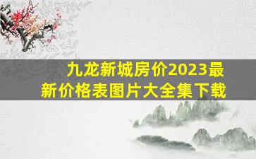 九龙新城房价2023最新价格表图片大全集下载