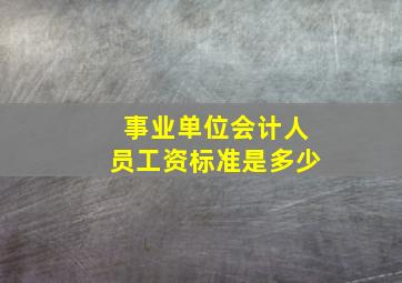 事业单位会计人员工资标准是多少