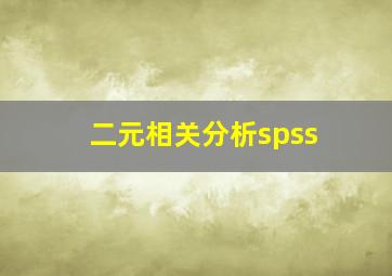 二元相关分析spss