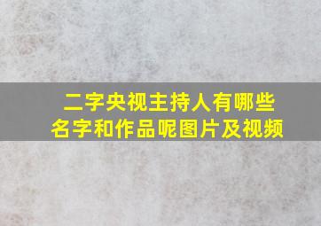 二字央视主持人有哪些名字和作品呢图片及视频