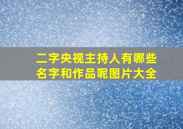 二字央视主持人有哪些名字和作品呢图片大全