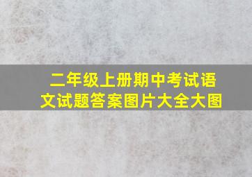 二年级上册期中考试语文试题答案图片大全大图