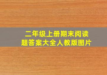 二年级上册期末阅读题答案大全人教版图片