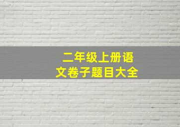 二年级上册语文卷子题目大全