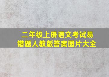 二年级上册语文考试易错题人教版答案图片大全