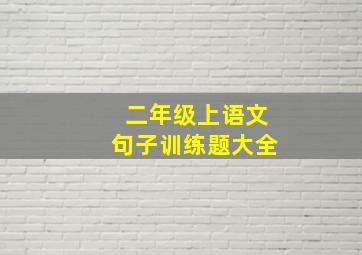 二年级上语文句子训练题大全