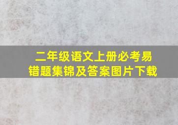 二年级语文上册必考易错题集锦及答案图片下载