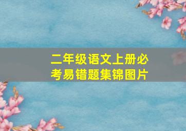 二年级语文上册必考易错题集锦图片