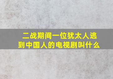 二战期间一位犹太人逃到中国人的电视剧叫什么