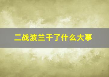 二战波兰干了什么大事