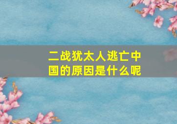 二战犹太人逃亡中国的原因是什么呢