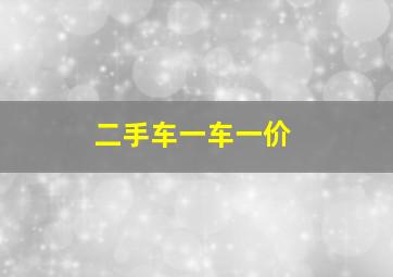 二手车一车一价