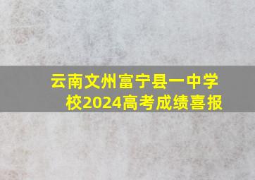 云南文州富宁县一中学校2024高考成绩喜报