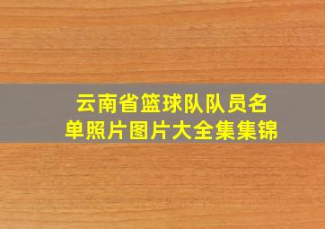 云南省篮球队队员名单照片图片大全集集锦